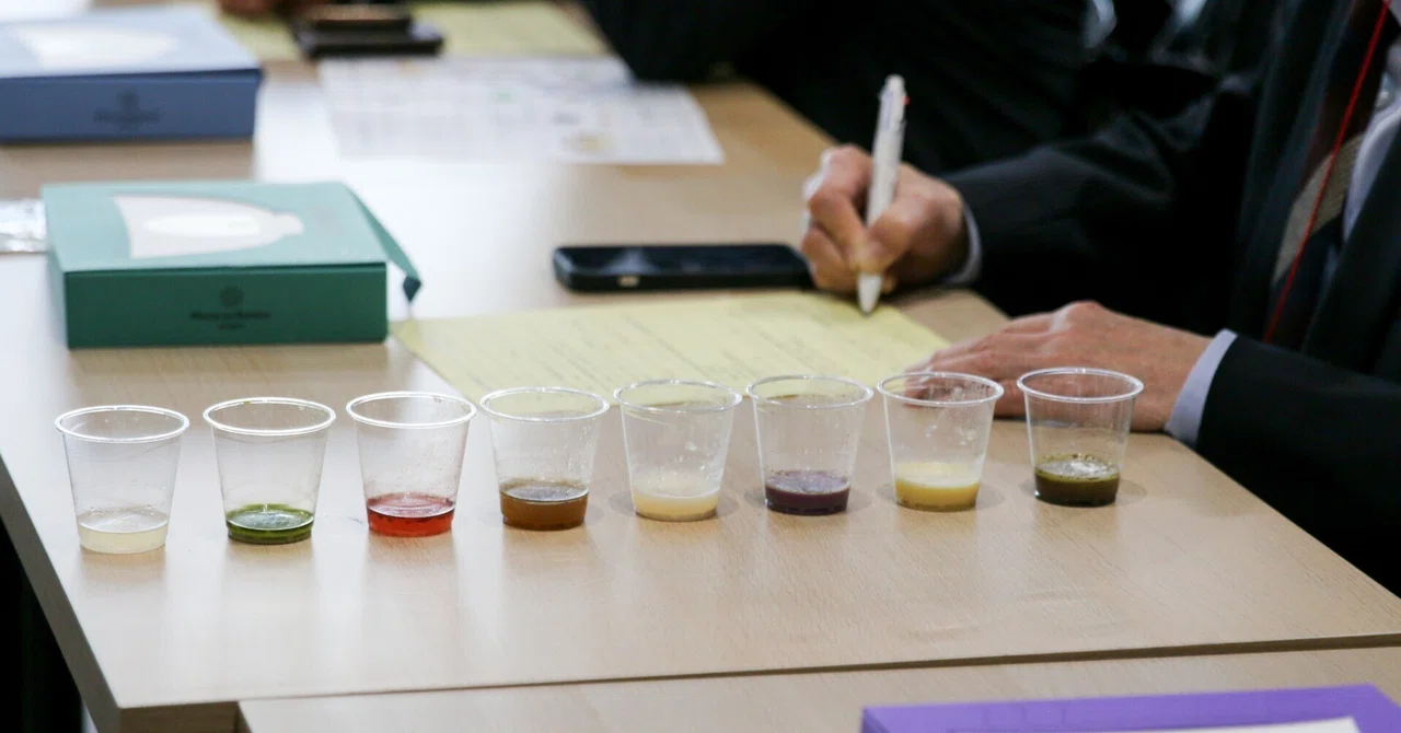 京都食ビジネスプラットフォーム 輸出部会 研修会｜植物性の技術を活用した食品の海外輸出